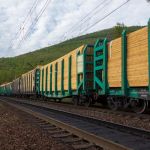 Лес жд