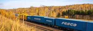 Fesco контейнерный поезд