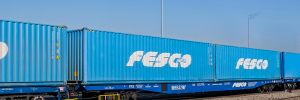 Fesco контейнерный поезд